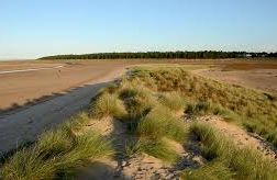 Holkham