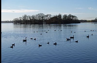 Hornsea Mere