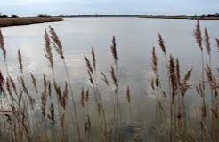 Horsey Mere (NT)