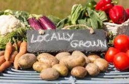 Hoveton Farmers Market