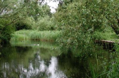 Howden Marsh Nature Reserve