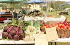 Ipswich Farmers Market