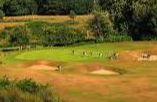 Knole Park Golf Club - Sevenoaks