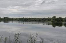 Lackford Lakes Nature Reserve