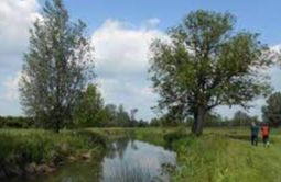 Long Melford Country Walks