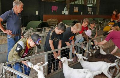 Longdown Activity Farm - Longdown