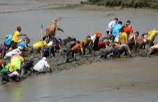 Maldon Mud Race