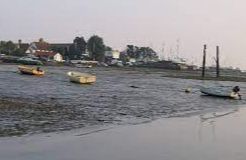 Mersea Island