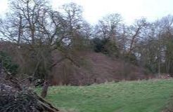 New Buckenham Castle ruins