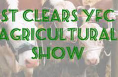 St Clears YFC Show