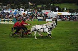 Monmouthshire Show