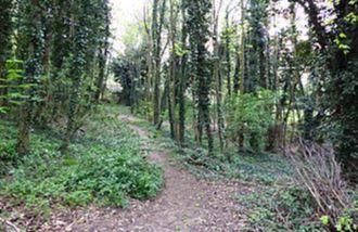 Orford - Foxburrow Wood Walks