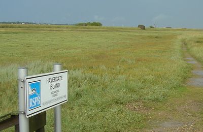 Orford - Havergate Island