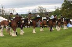 Fife Show - Cupar