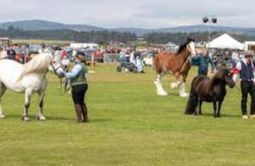 Sutherland Show