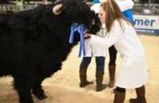 North Uist Agricultural Show