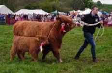 Neilston Show