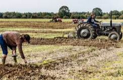 Ferguson Club Ploughing Match