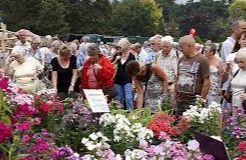 Sandringham Flower Show