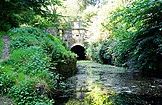 Sapperton Valley Nature Reserve