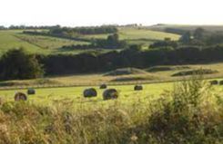 Seven Barrows - Lambourn