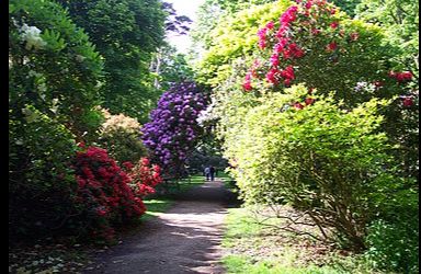 Sheringham Park, (NT)