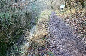 Siccaridge Nature Reserve - Sapperton