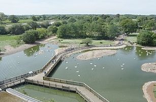 Slimbridge Wildfowl & Wetlands Centre