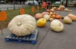 Soham Pumpkin Fair