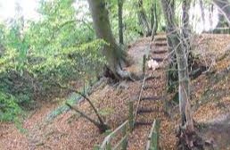 Stanton - Wyken Hall Woodland Walks