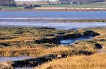 Wrabness - Stour Estuary Nature Reserve