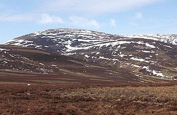 The Cheviot - (Nuttall)