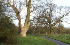 Thornham Magna - Thornham Walks