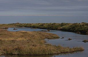 Titchwell Marsh