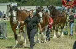 Toddington - South Beds County Show