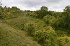 Totternhoe - Sewell Cutting Nature Reserve