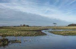 Trimley St Martin - Trimley Marshes Nature Reserve