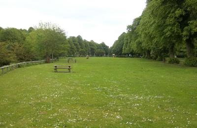 Tyne Green Country Park - Hexham