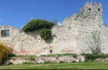 Wallingford Castle (ruins)