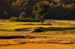 Walton Heath Golf Club - Walton on the Hill