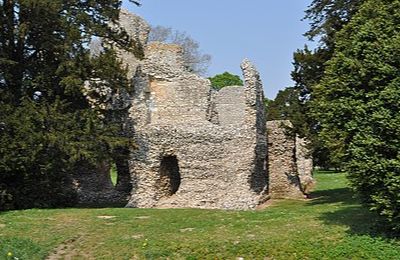 Weeting Castle, (EH)