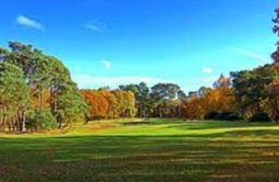 West Sussex Golf Club - Wiggenholt