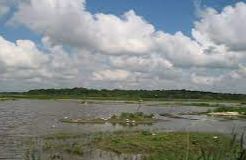 Westleton - Minsmere Nature Reserve