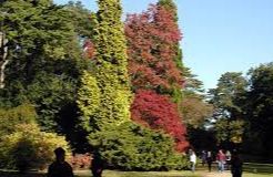 Westonbirt, The National Arboretum