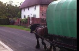 White Horse Gypsy Caravans - Alton Priors