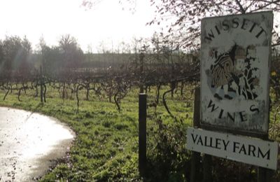 Wissett - Valley Farm Vineyards