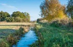 Woodwalton Fen - Cambridgeshire