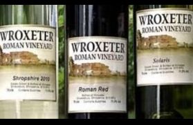 Wroxeter Roman Vineyard