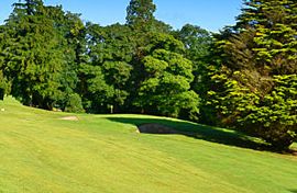 Coollattin Golf Club - Shillelagh