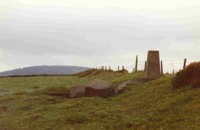 Cupidstown Hill - Kildare